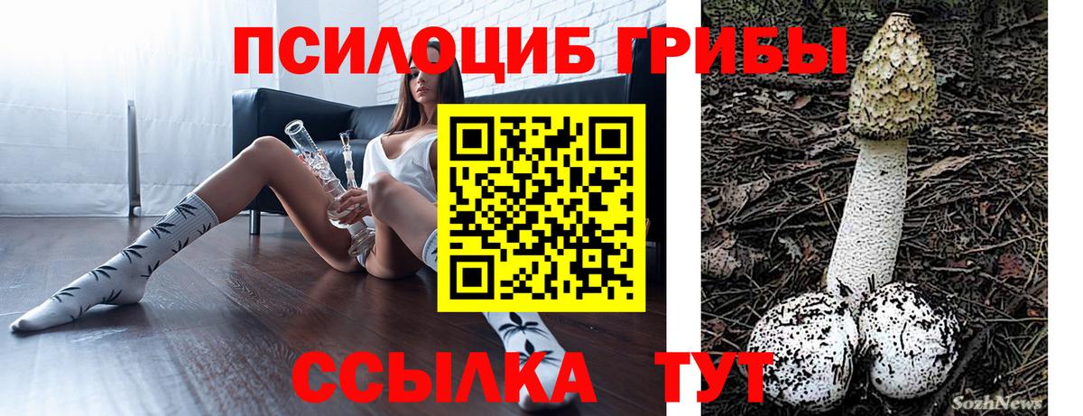 Галлюциногенные грибы Cubensis Новороссийск