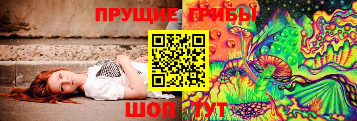 Новороссийск  Псилоцибиновые грибы мицелий  Вход с VPN 